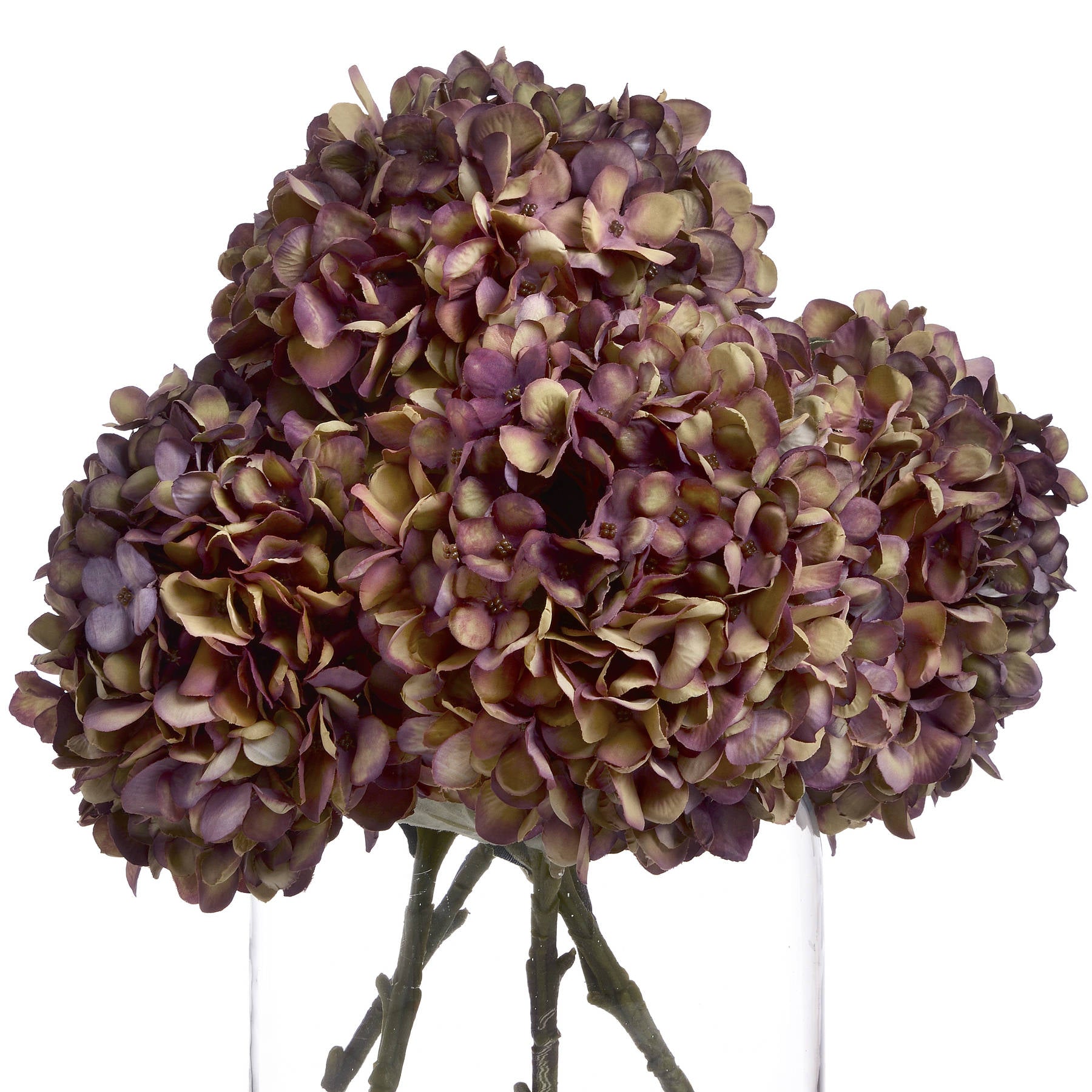 Lush autumn burgundy hydrangea with hand-painted petals in rich purple and green hues, showcasing meticulous realism.