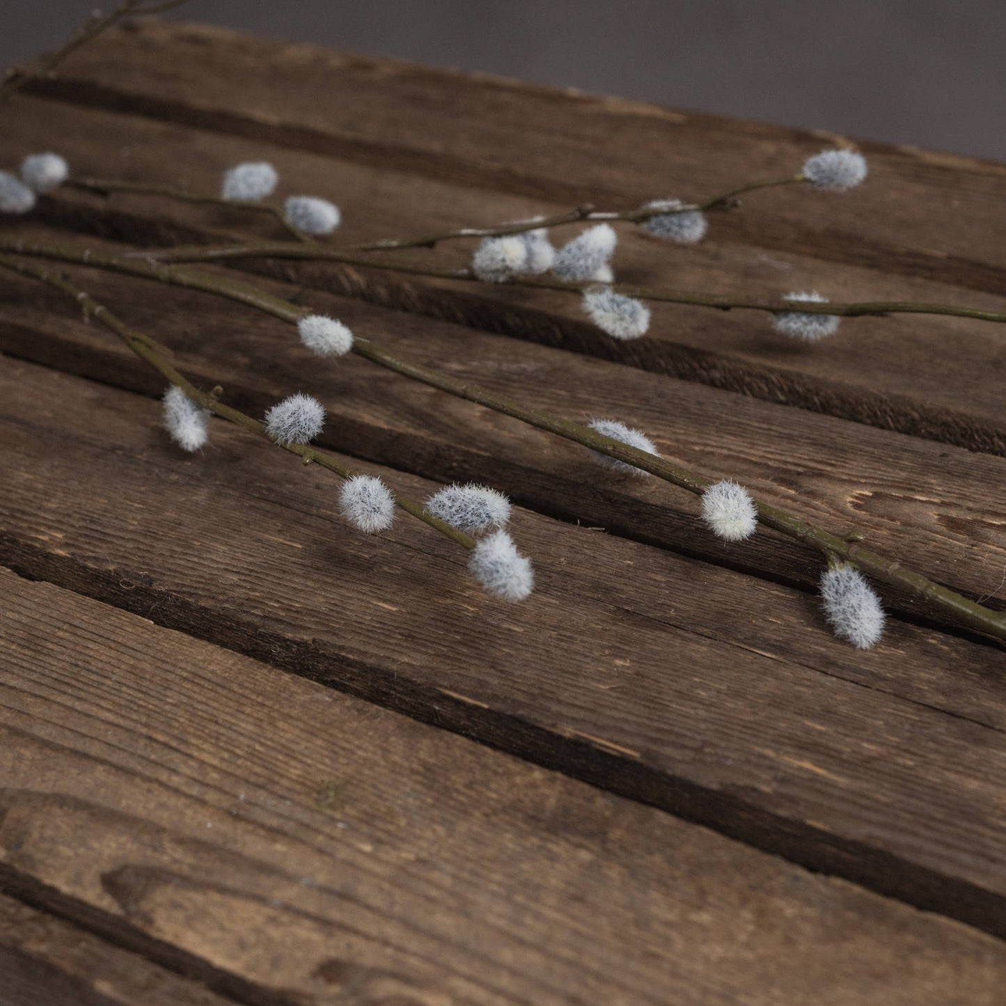Pussy Willow Branch - Autumn Stems from the Quanta Home collection.