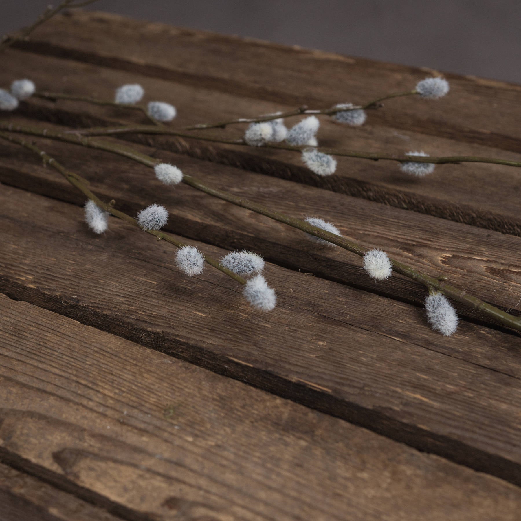 Pussy Willow Branch - Autumn Stems from the Quanta Home collection.