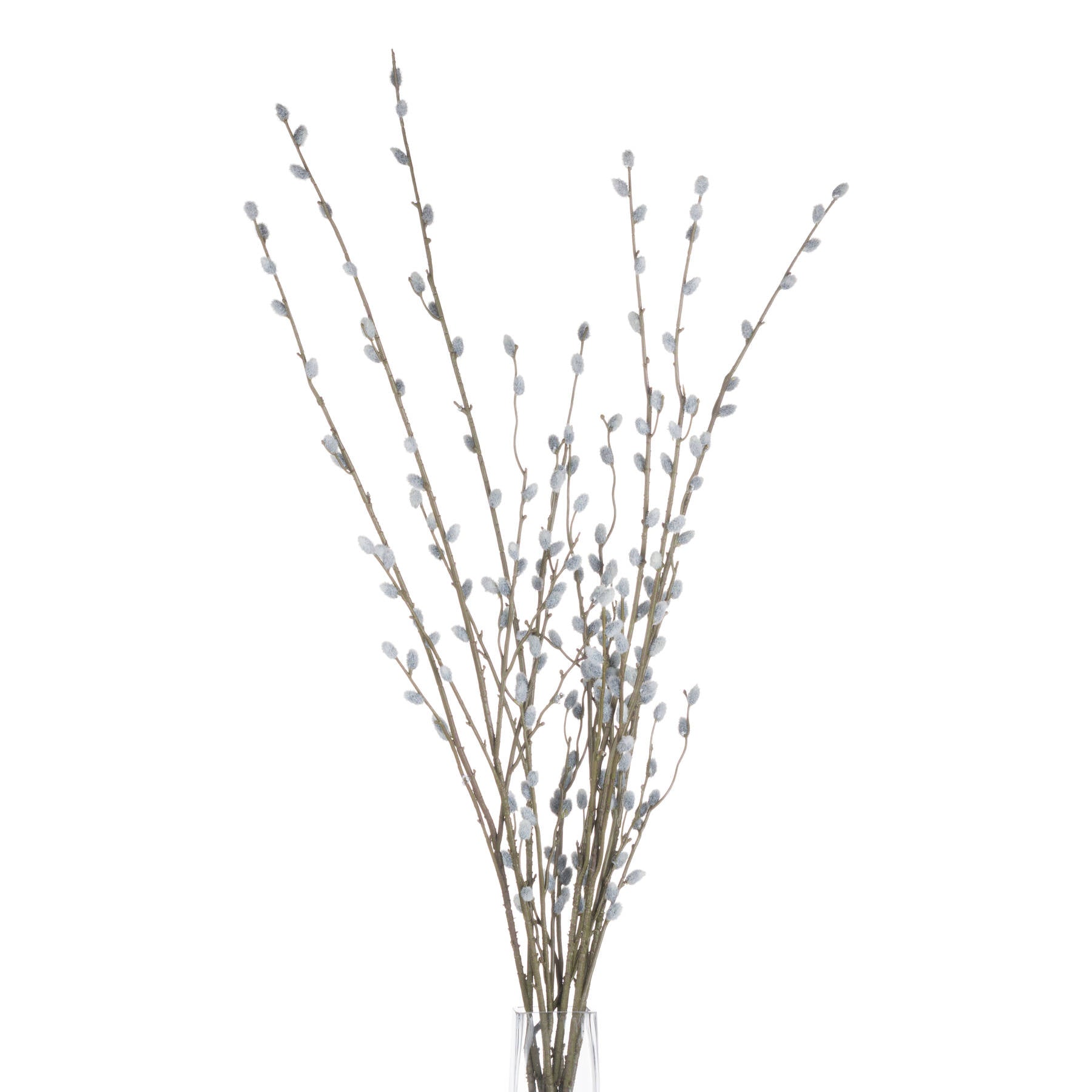 Pussy Willow Branch - Autumn Stems from the Quanta Home collection.