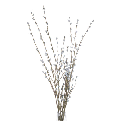 Pussy Willow Branch - Autumn Stems from the Quanta Home collection.