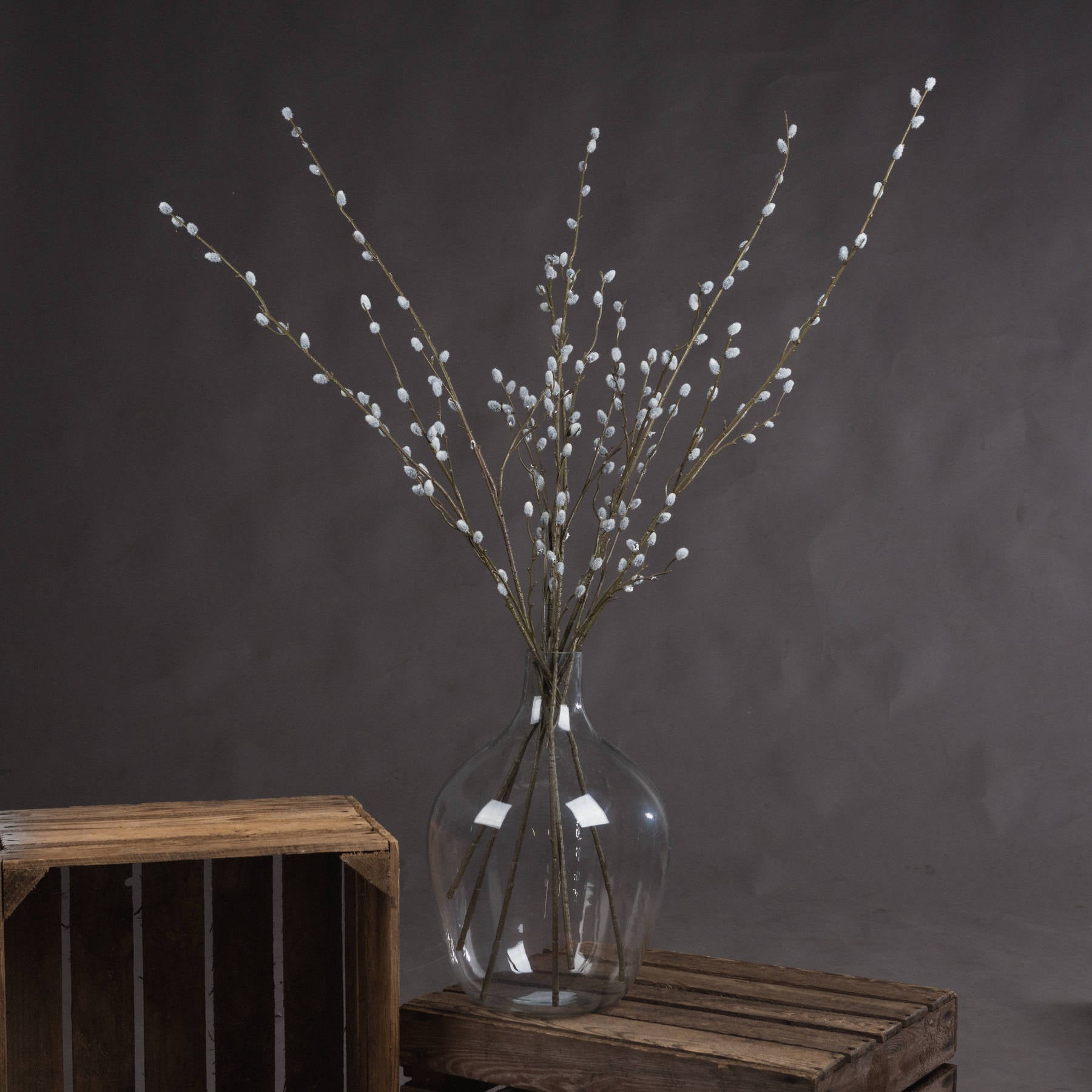 Pussy Willow Branch - Autumn Stems from the Quanta Home collection.