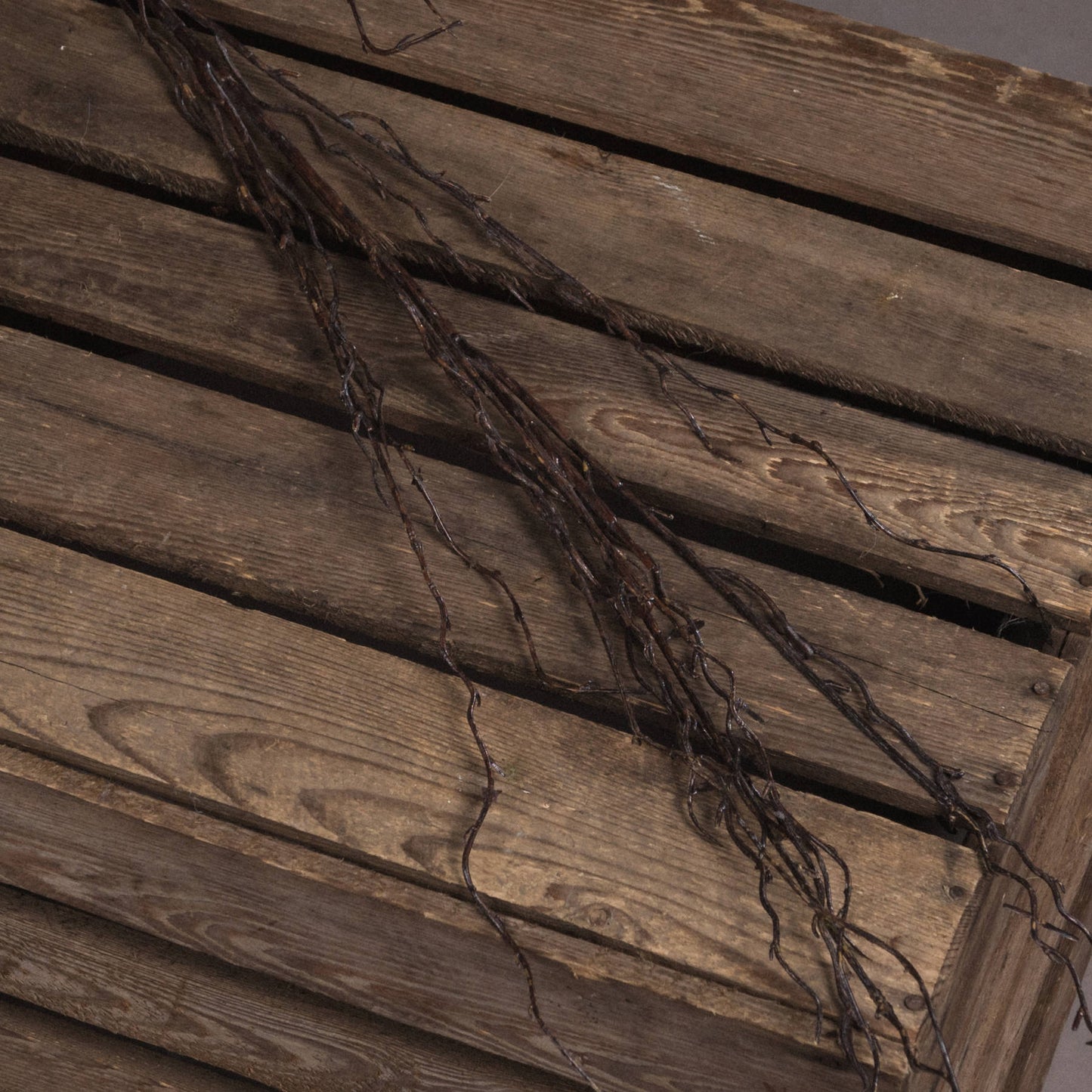 Branch Spray - Autumn Stems from the Quanta Home collection.