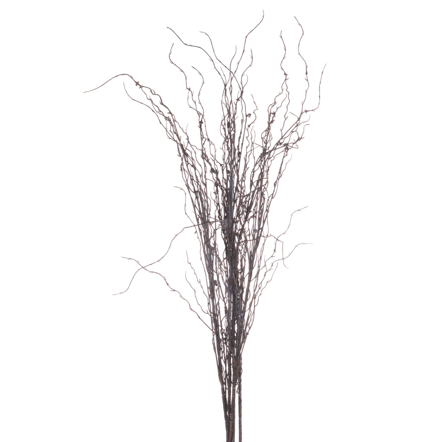 Branch Spray - Autumn Stems from the Quanta Home collection.