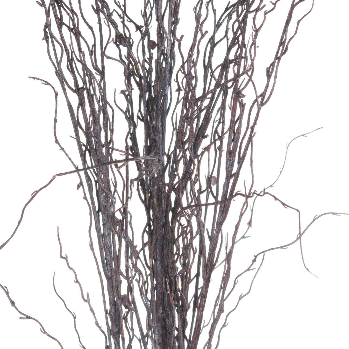 Branch Spray - Autumn Stems from the Quanta Home collection.