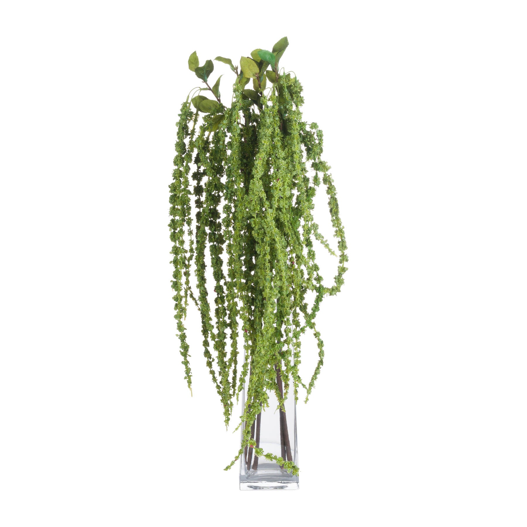 Green Amaranthus - Single Stem Flowers from the Quanta Home collection.
