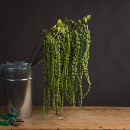 Green Amaranthus - Single Stem Flowers from the Quanta Home collection.
