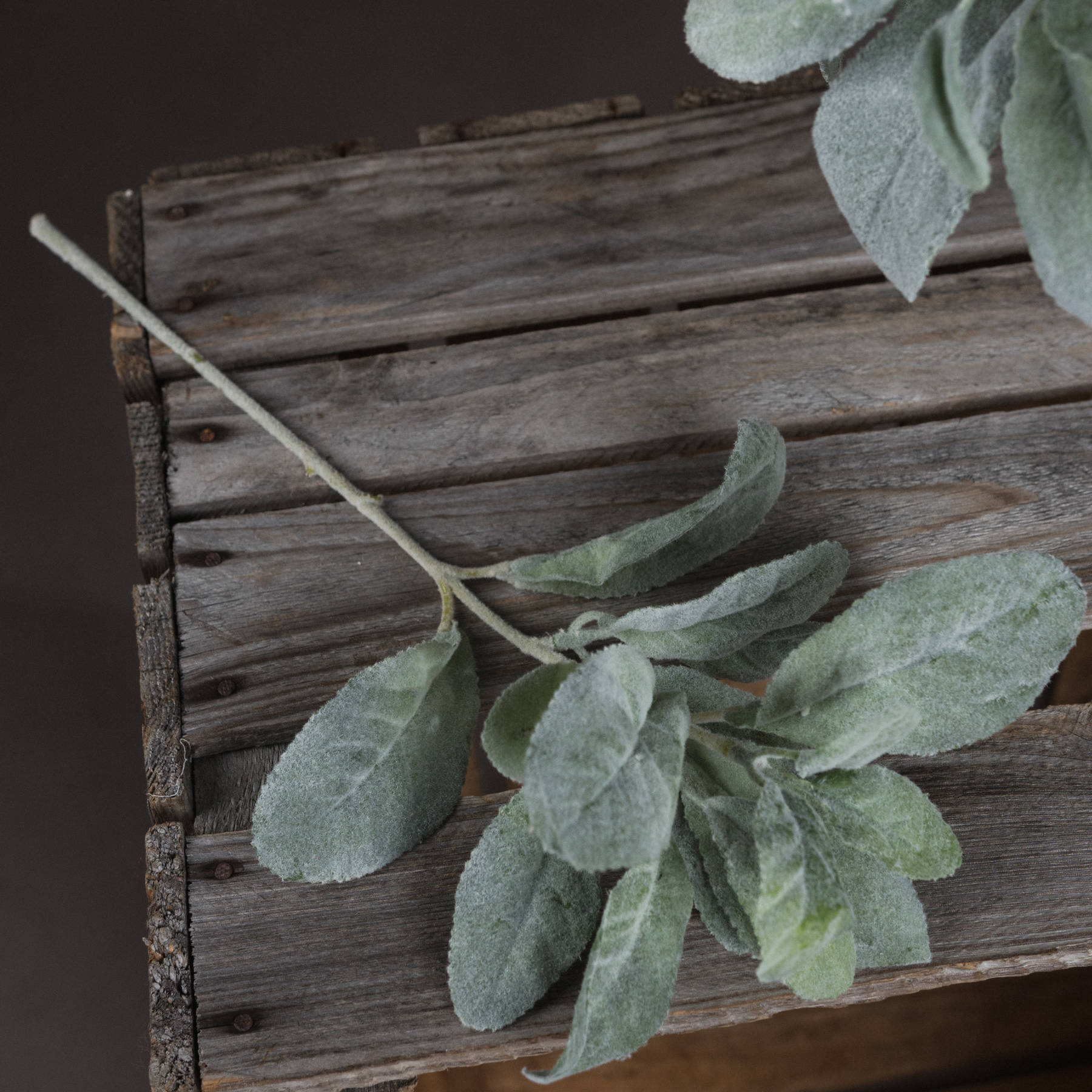 Lambs Ear Spray - Christmas Decorations from the Quanta Home collection.