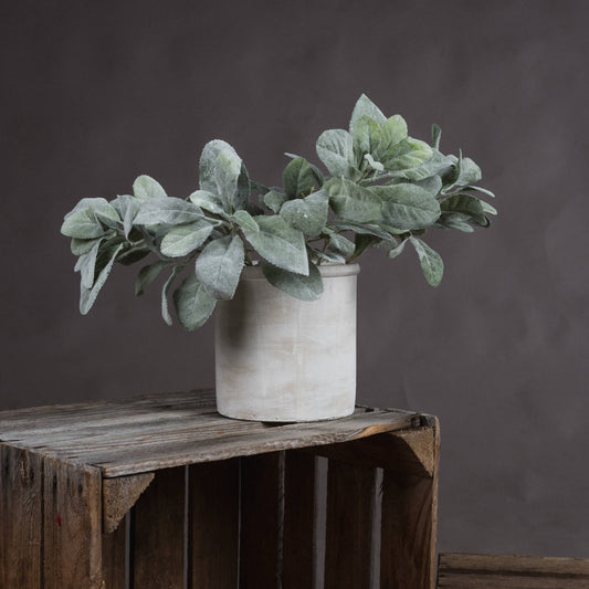 Lambs Ear Spray - Christmas Decorations from the Quanta Home collection.