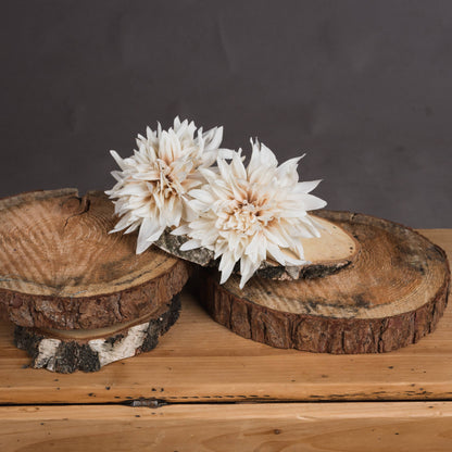 Café Au Lait - Single Stem Flowers from the Quanta Home collection.