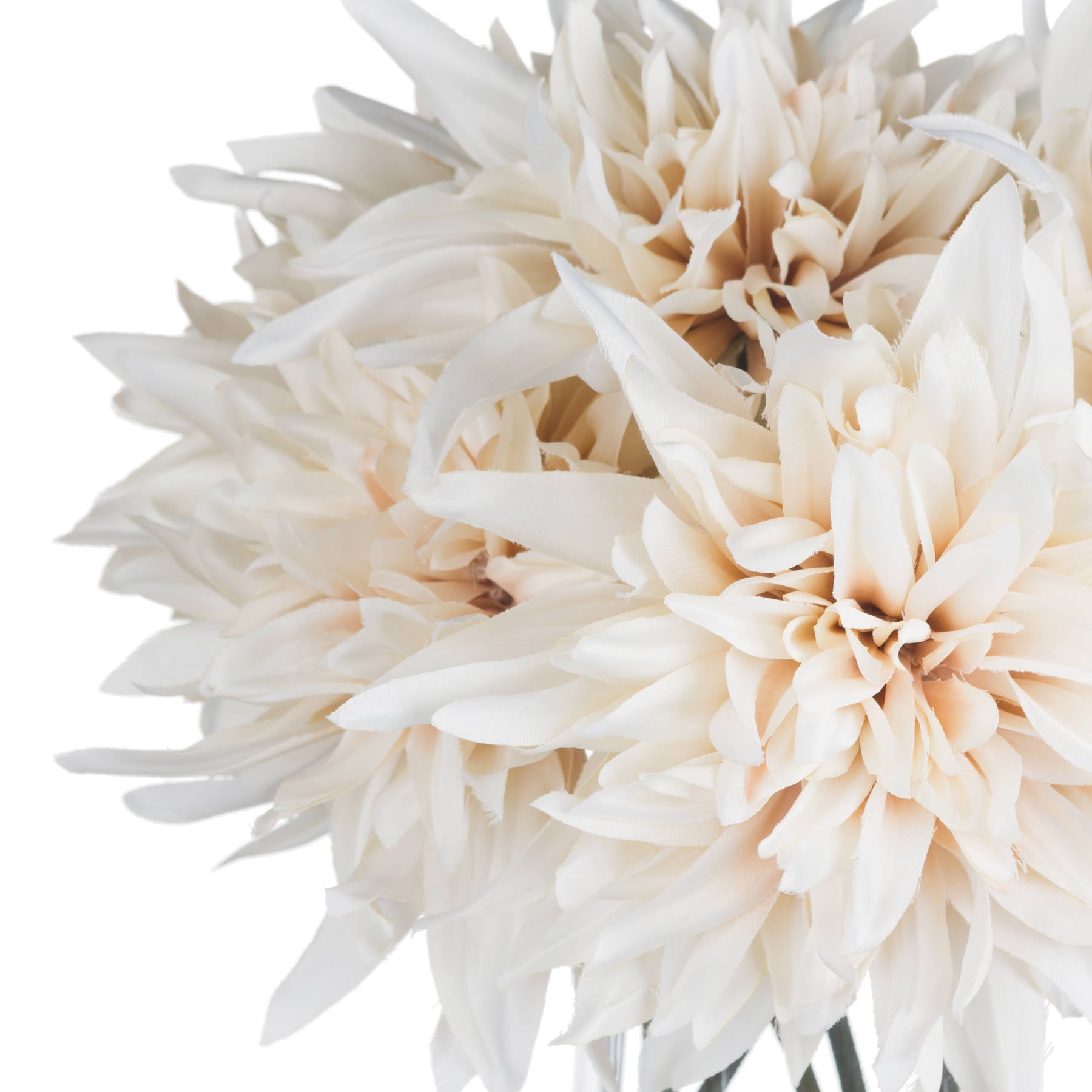 Lifelike cream dahlia flowers in café au lait tones, showcasing soft petals for a warm, sophisticated decor accent.