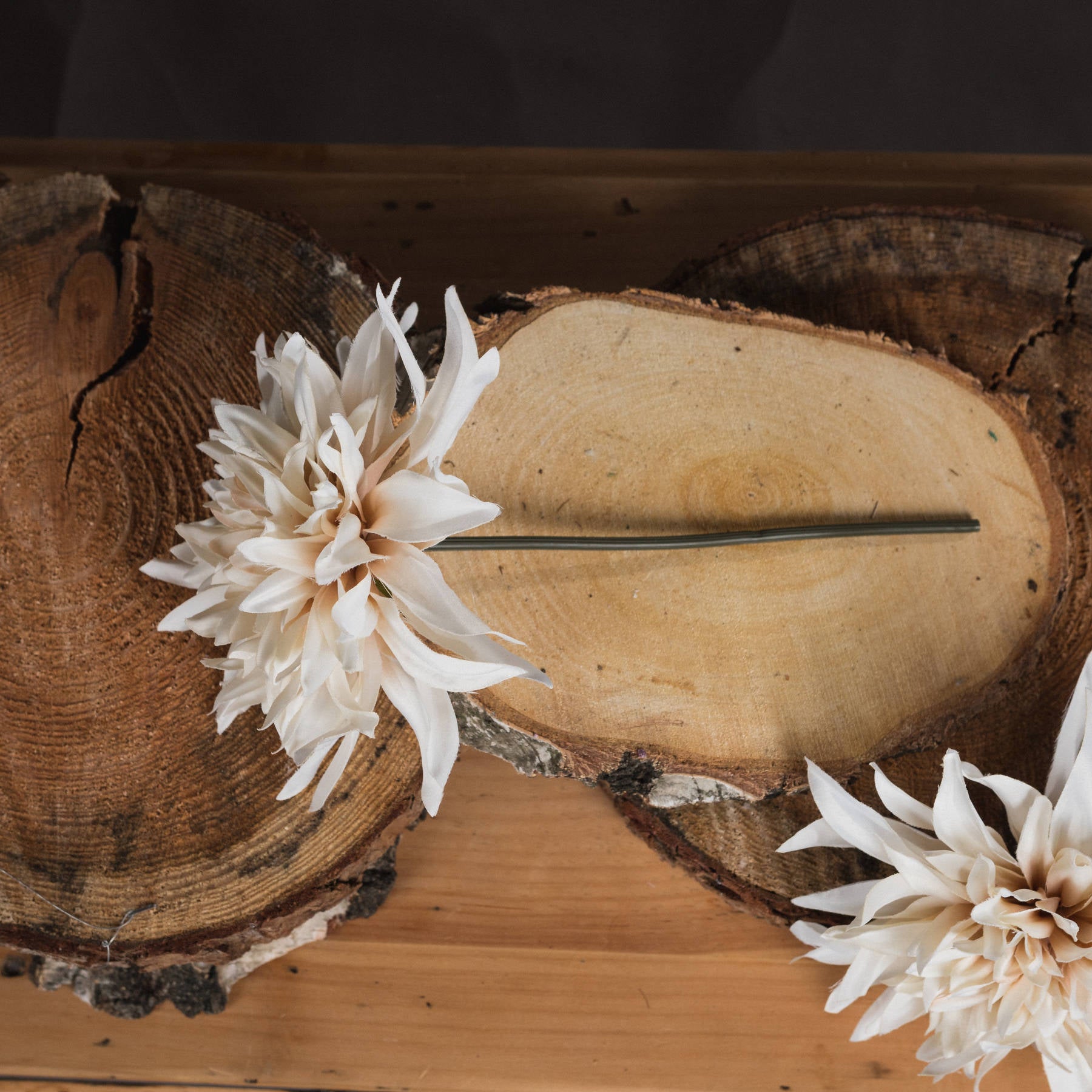 Cream dahlia with lifelike petals in warm café au lait tones, placed on rustic wooden slices, showcasing elegant botanical beauty.