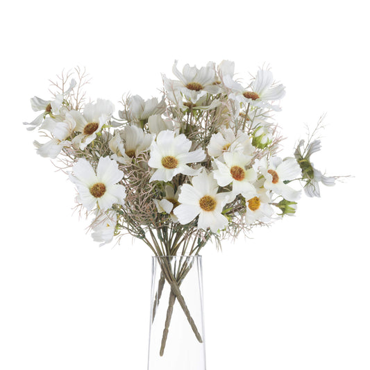 Cream cosmos spray featuring delicate white petals and natural-looking foliage, elegantly arranged in a clear vase.