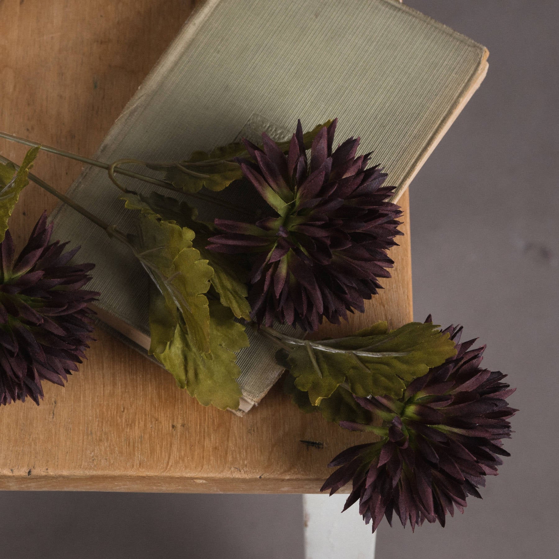 Rich chocolate-chrysanthemum stems with curled petals and green leaves, enhancing autumn decor on a wooden surface.