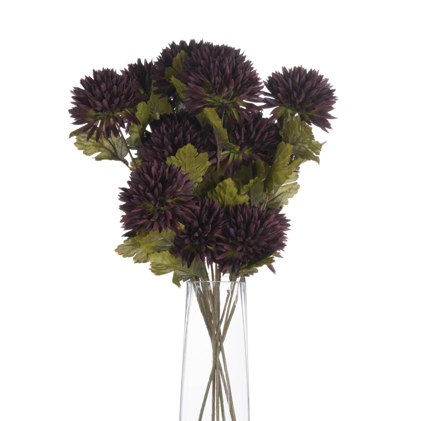 Deep chocolate-colored chrysanthemum stems with lush green leaves, elegantly arranged in a clear vase, perfect for autumn decor.