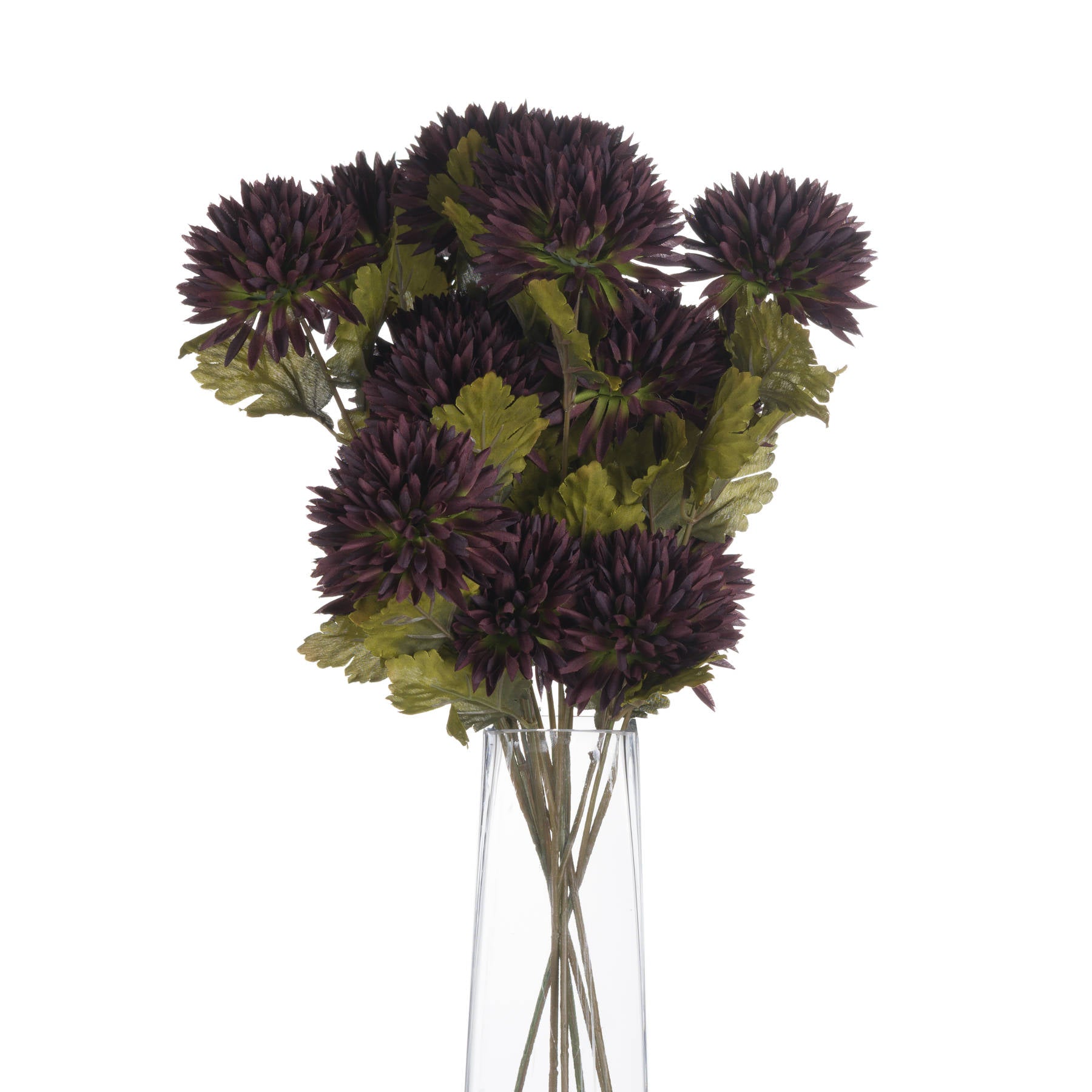 Deep chocolate-colored chrysanthemum stems with lush green leaves, elegantly arranged in a clear vase, perfect for autumn decor.