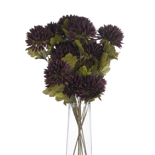 Deep chocolate-colored chrysanthemum stems with lush green leaves, elegantly arranged in a clear vase, perfect for autumn decor.