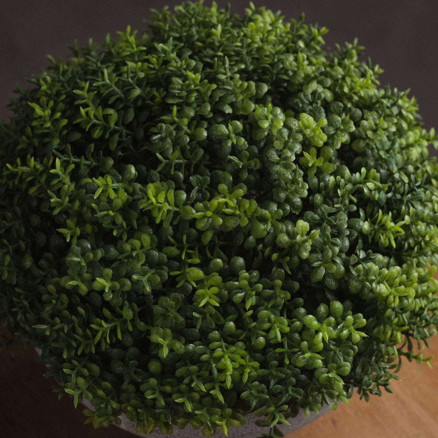 Small Hebe Globe Pot - All Artificial Potted Plants from the Quanta Home collection.