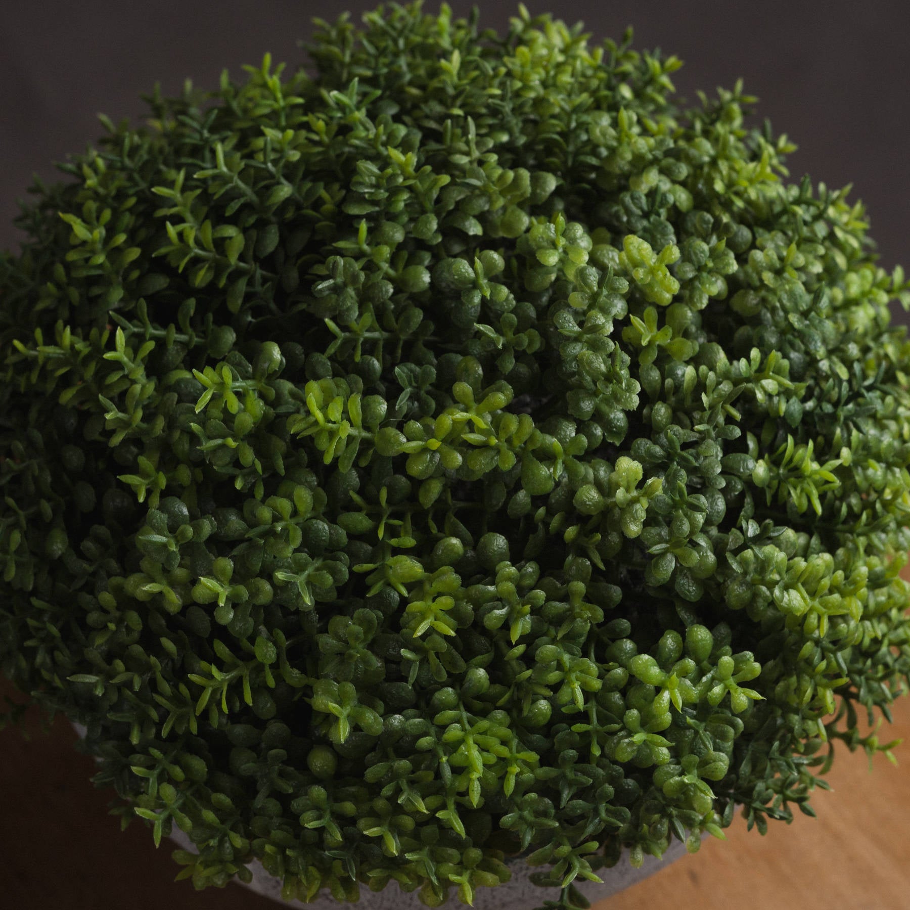 Small Hebe Globe Pot - All Artificial Potted Plants from the Quanta Home collection.