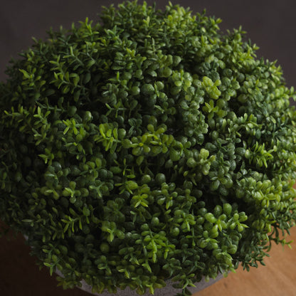 Small Hebe Globe Pot - All Artificial Potted Plants from the Quanta Home collection.
