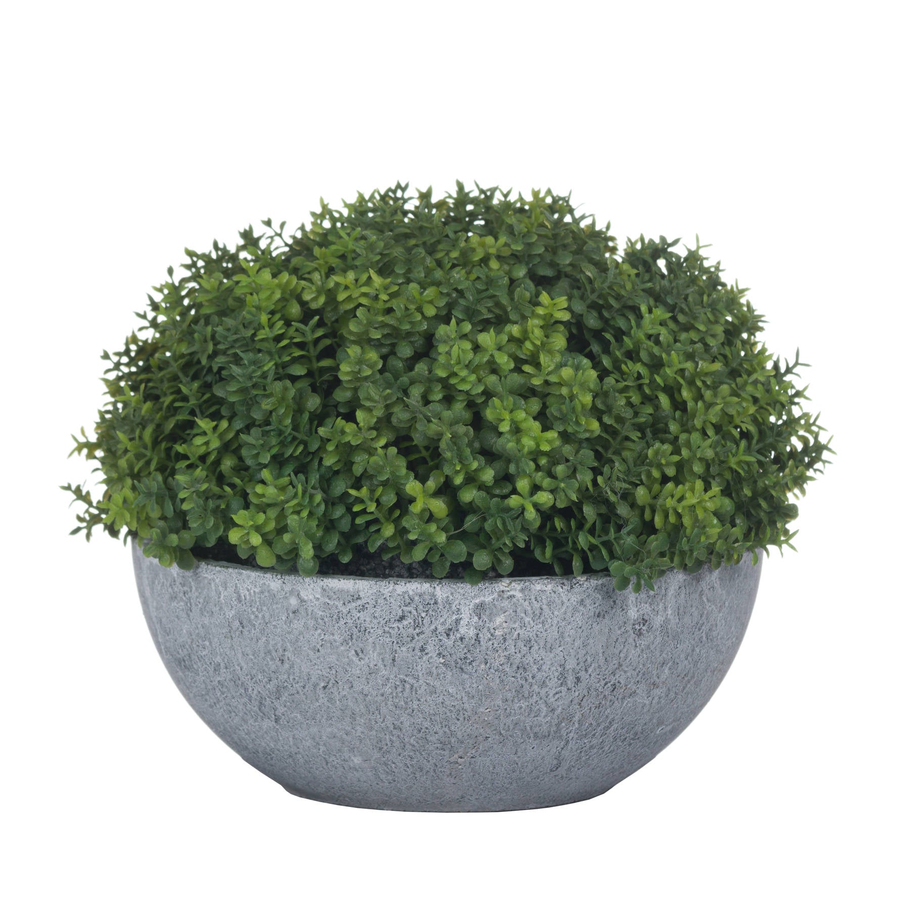 Small Hebe Globe Pot - All Artificial Potted Plants from the Quanta Home collection.
