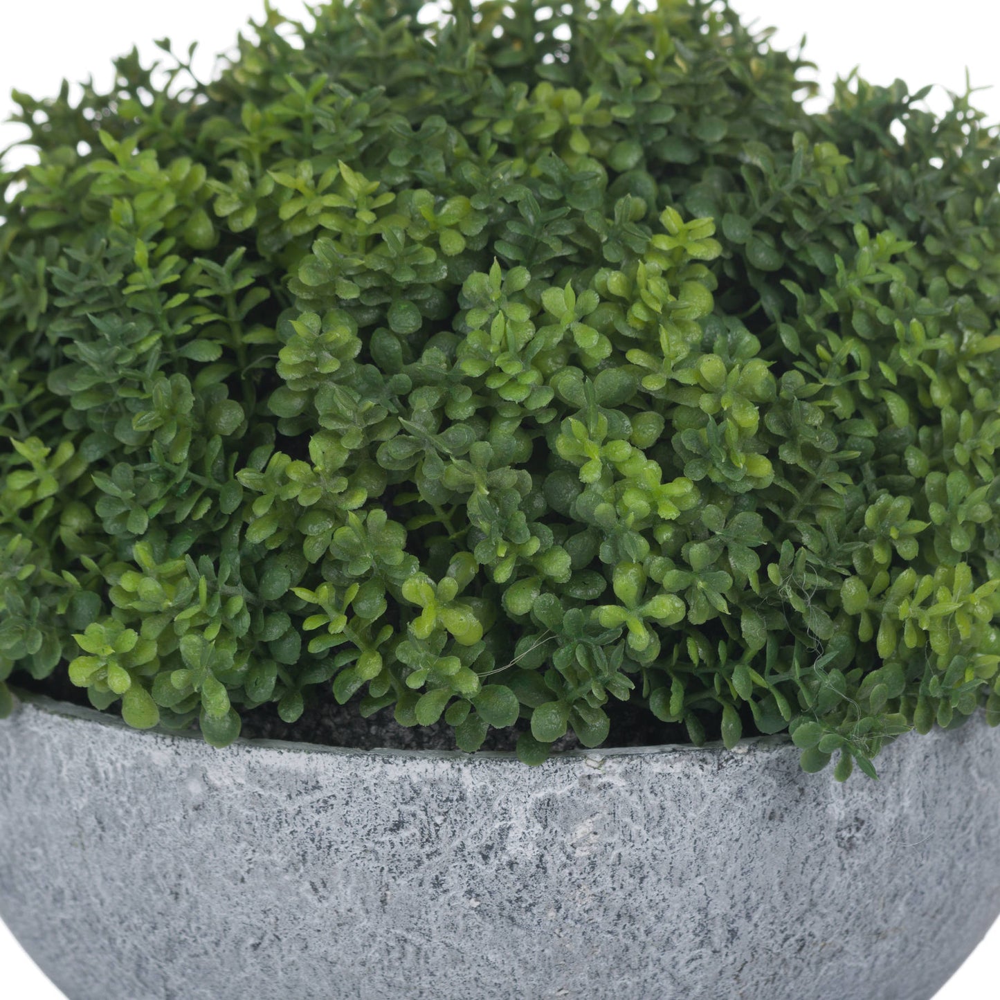 Small Hebe Globe Pot - All Artificial Potted Plants from the Quanta Home collection.
