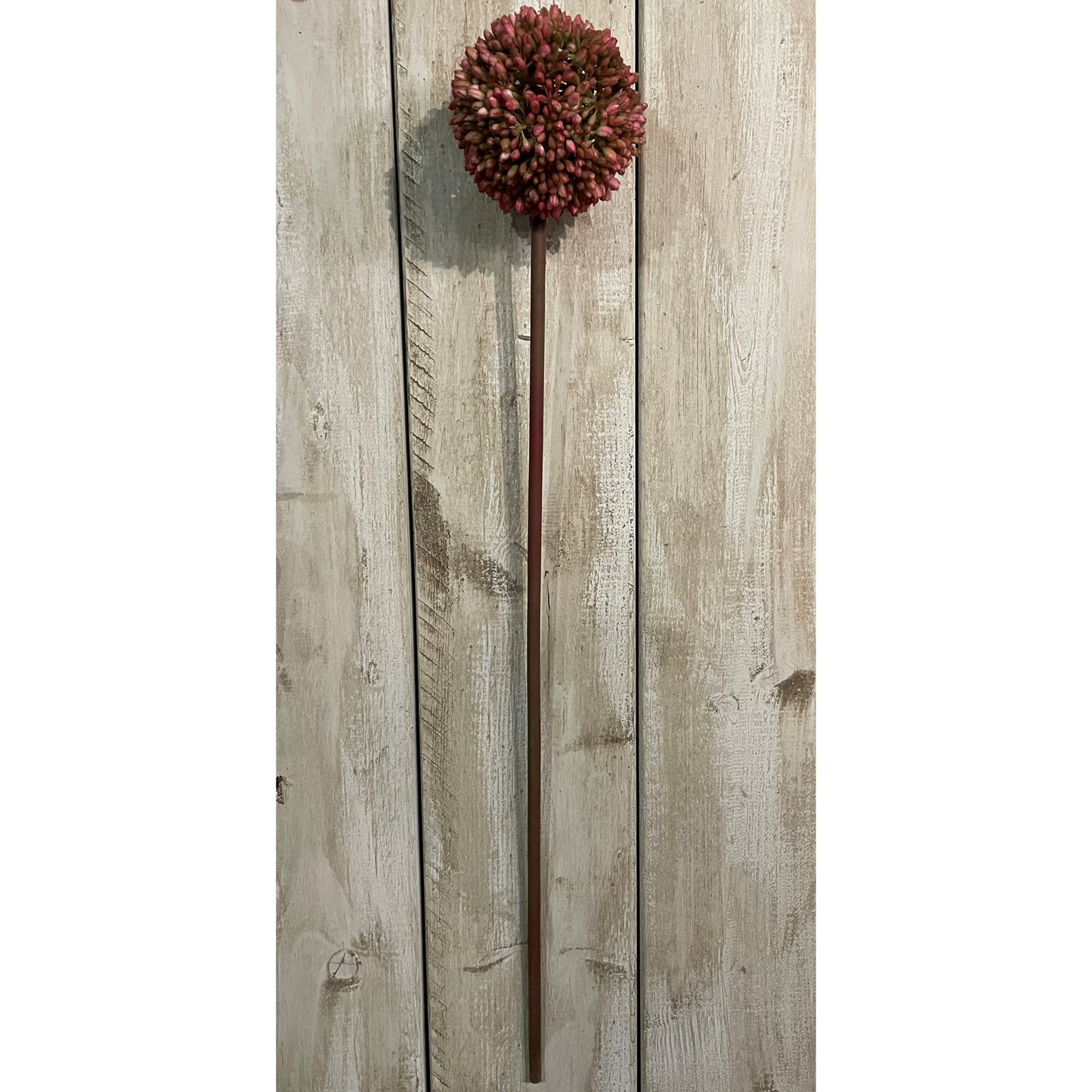 Pink Allium - Autumn Stems from the Quanta Home collection.