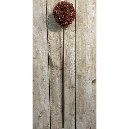 Pink Allium - Autumn Stems from the Quanta Home collection.