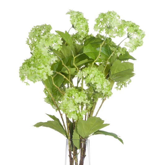 Lush green Viburnum spray featuring clustered blooms and vibrant leaves, perfect for elegant floral arrangements and home decor.