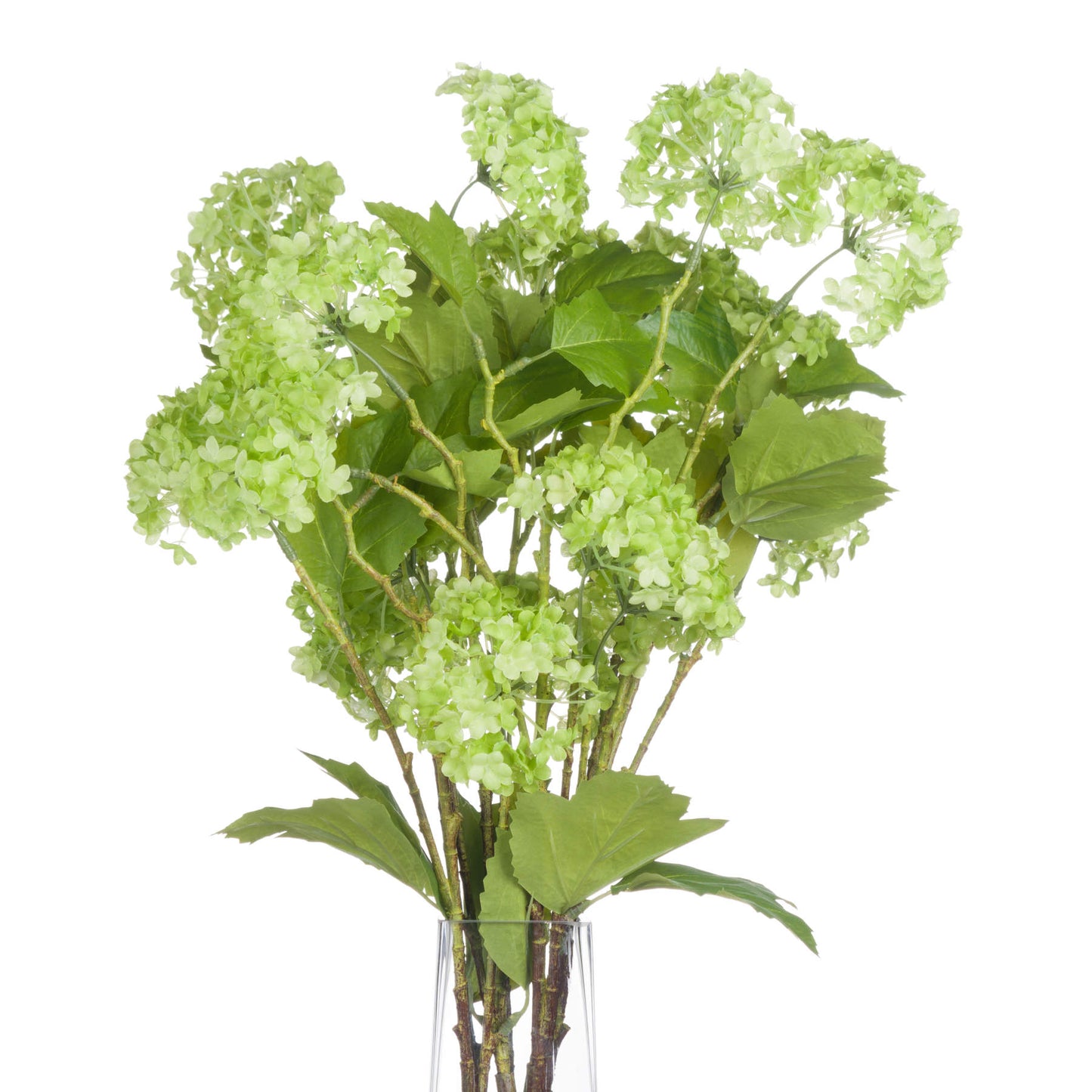 Green Viburnum Spray - Single Stem Flowers from the Quanta Home collection.