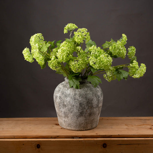 Green Viburnum Spray - Single Stem Flowers from the Quanta Home collection.