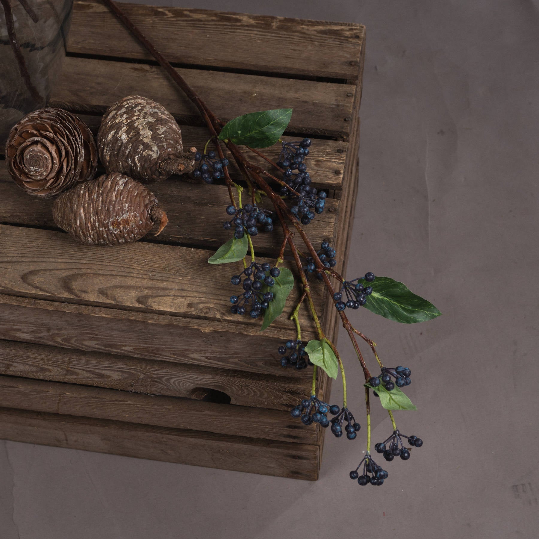 Viburnum Berry - Spring Stems from the Quanta Home collection.