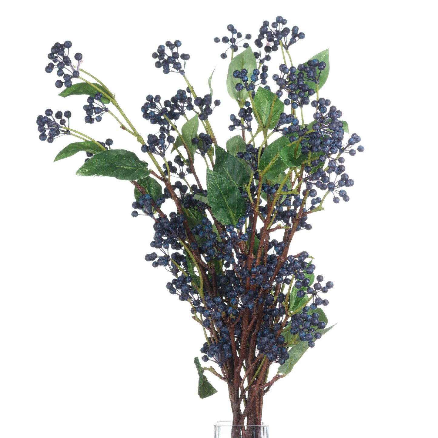 Viburnum Berry - Spring Stems from the Quanta Home collection.