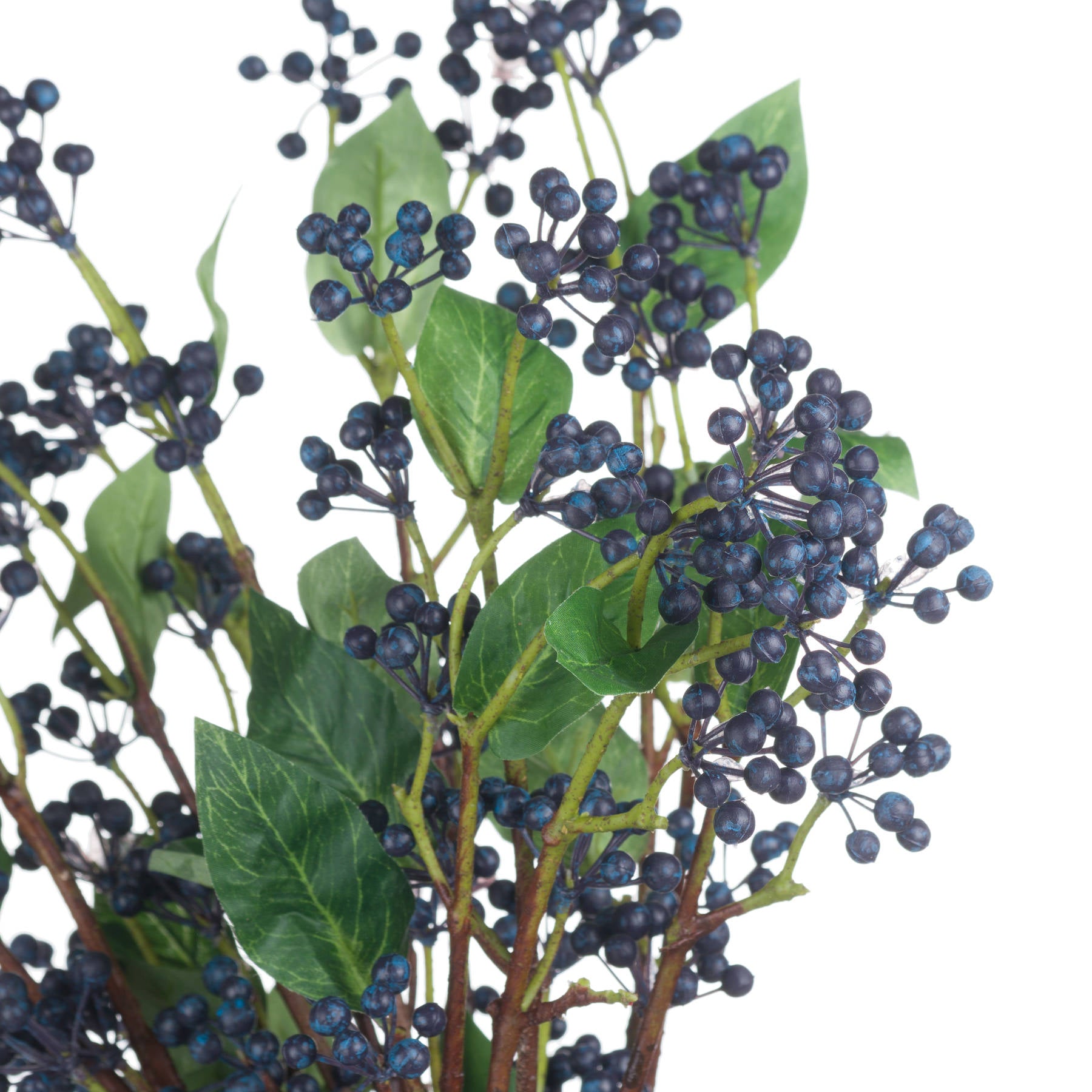 Viburnum Berry - Spring Stems from the Quanta Home collection.