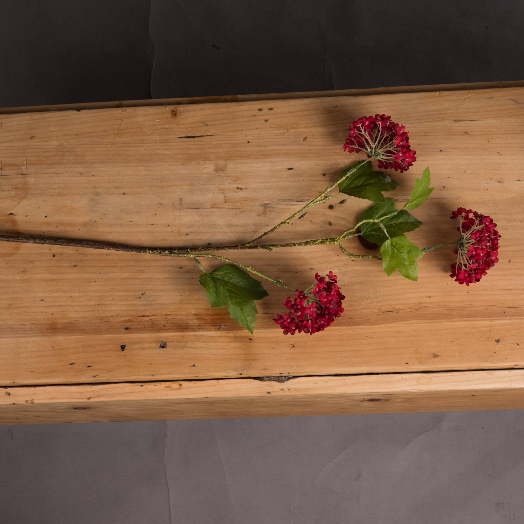 Single stem of realistic red autumnal viburnum featuring dense crimson berries and green leaves, showcased on a wooden surface.