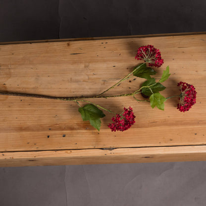 Red Autumnal Viburnum - Autumn Stems from the Quanta Home collection.