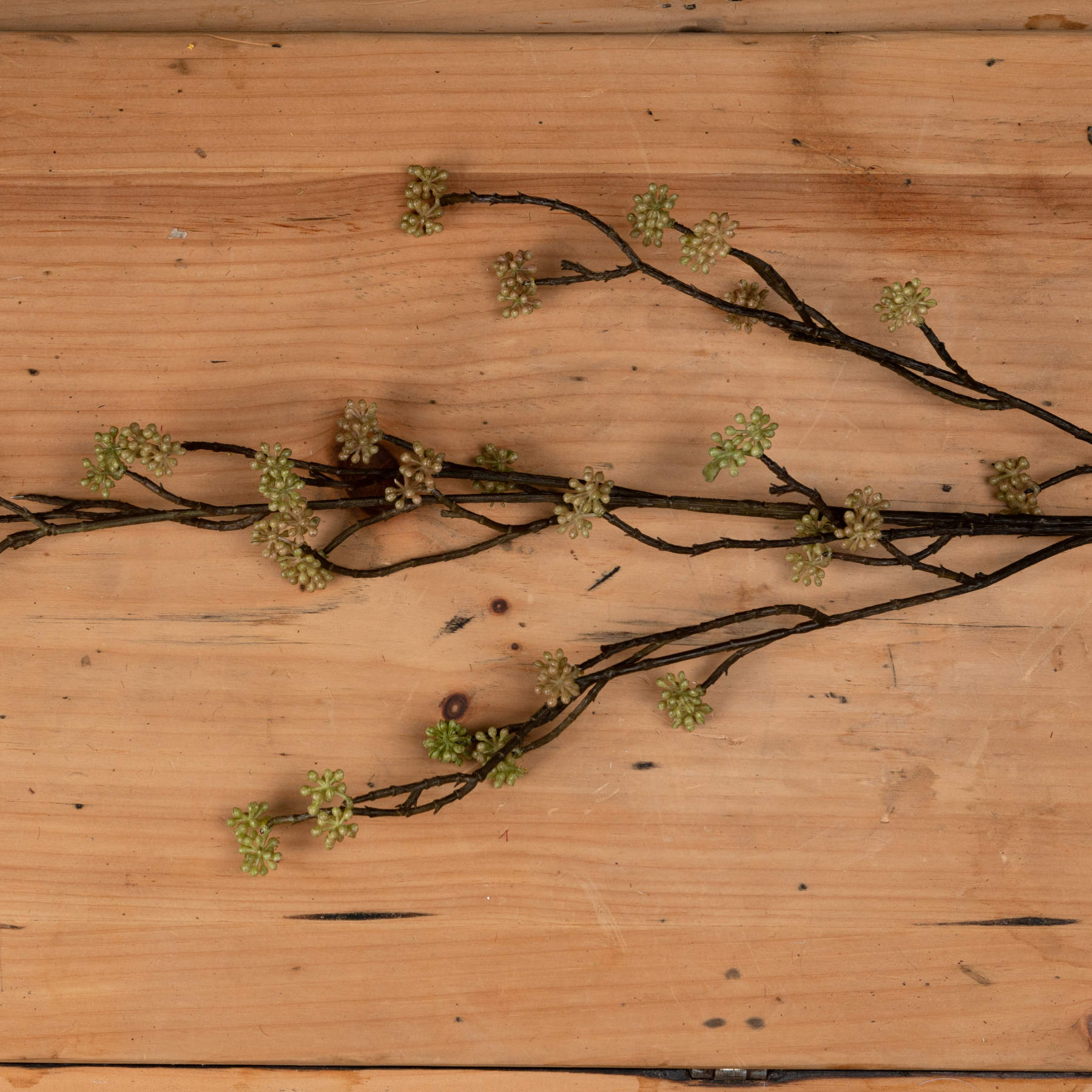 Realistic green sedum branch featuring delicate blooms on dark twigs, perfect for elegant arrangements and decor.
