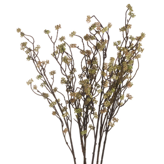 Realistic green Sedum branches with delicate blooms, perfect for elegant decor and effortless arrangements.