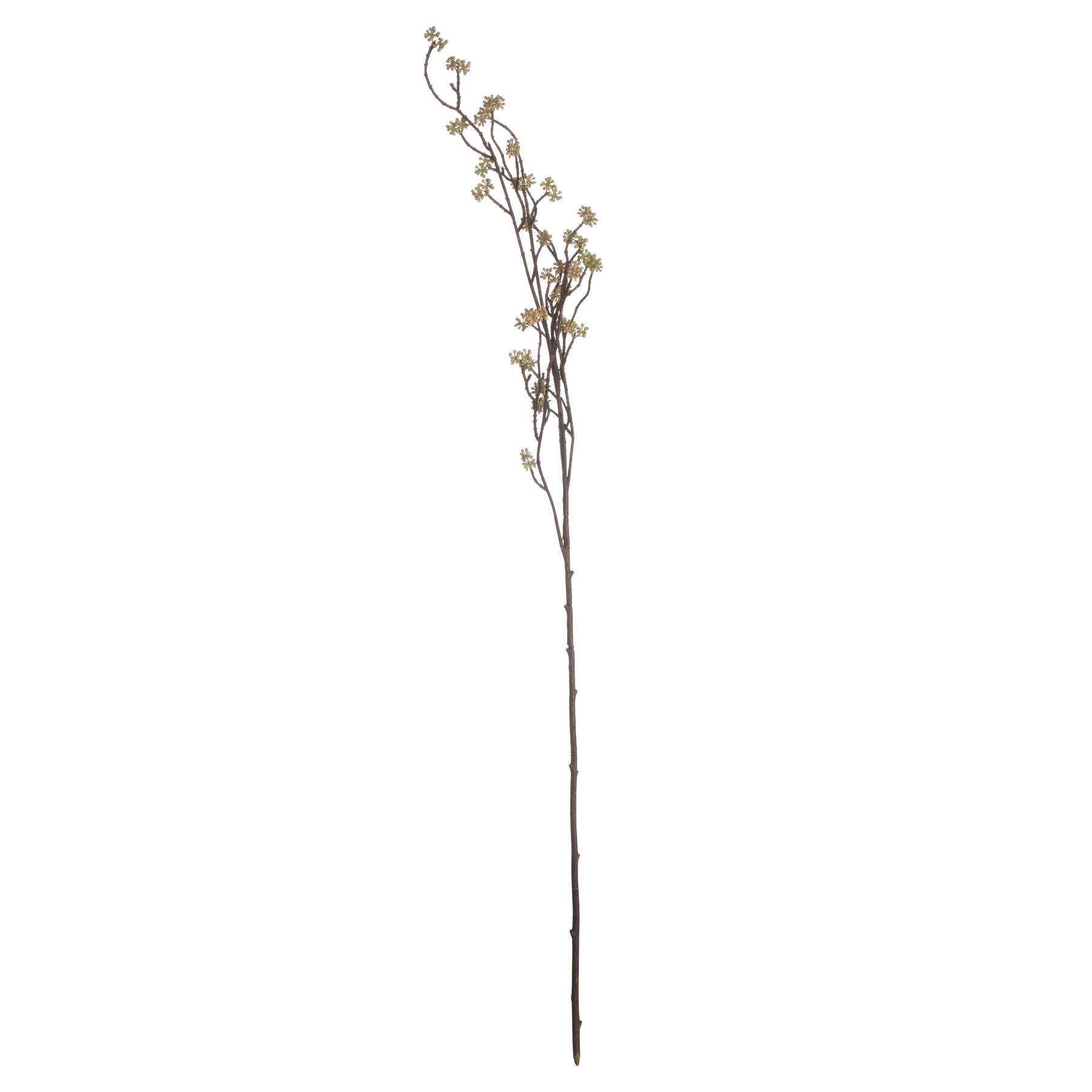 Single stem of artificial Sedum flowers, featuring delicate green blooms on a textured brown stem, ideal for elegant decor.