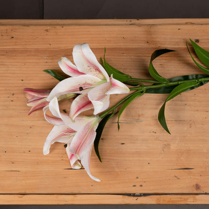 Stargazer Lily - Single Stem Flowers from the Quanta Home collection.