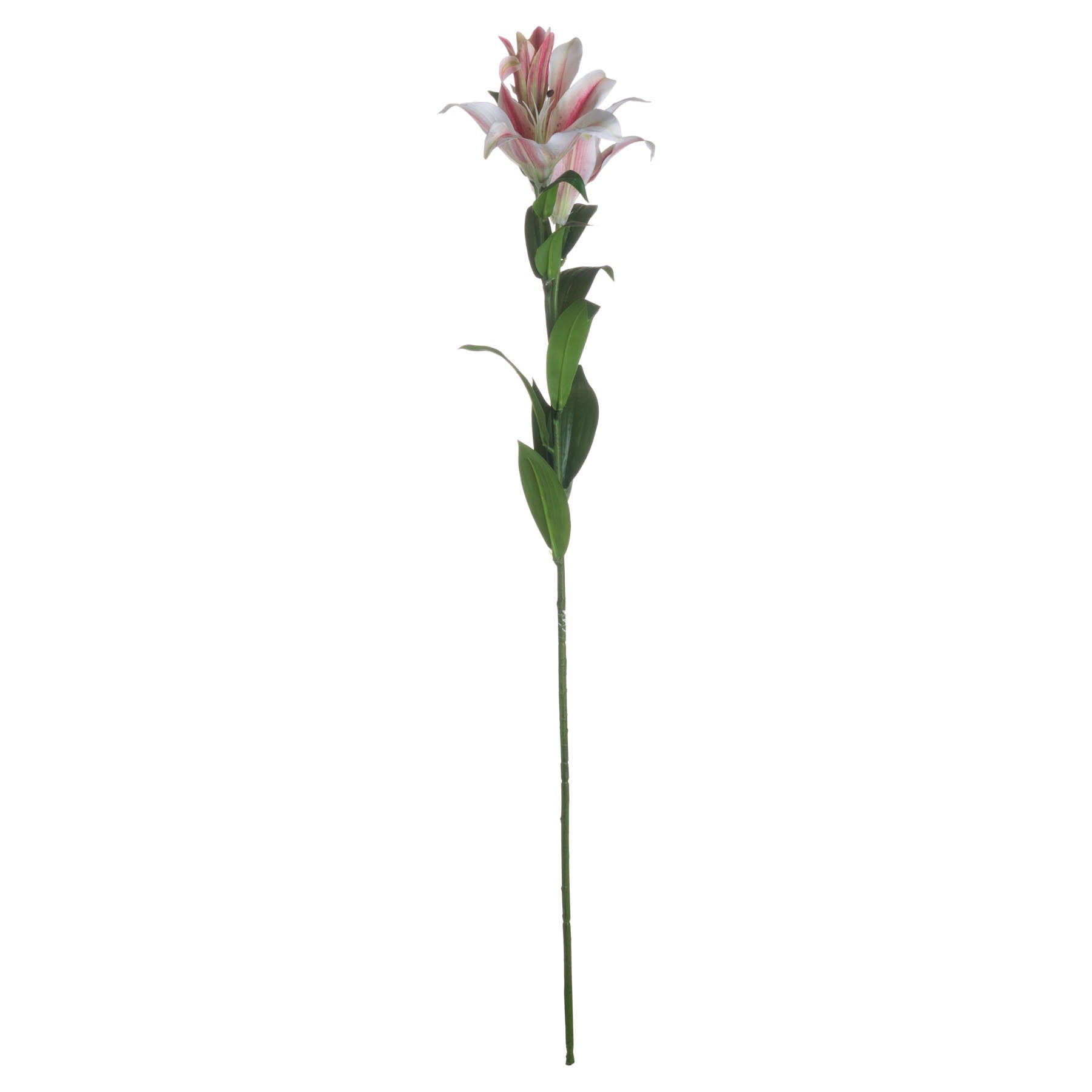 Stargazer Lily - Single Stem Flowers from the Quanta Home collection.