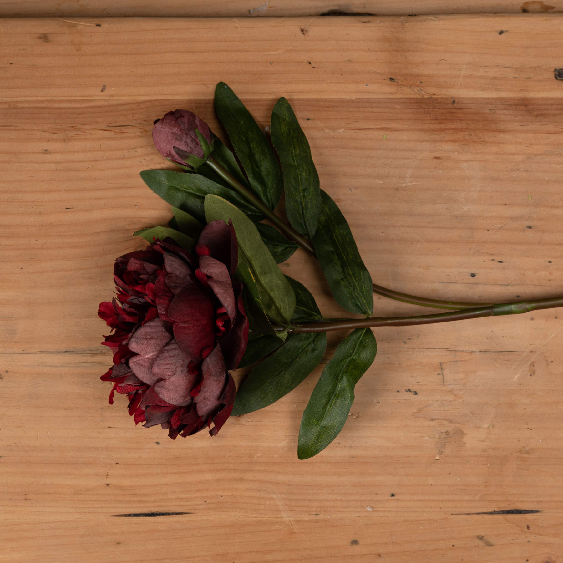 Burgundy peony rose with intricate detailing, featuring rich red tones and lush green leaves, set against a wooden background.