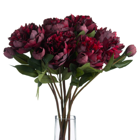 Burgundy peony roses with rich, layered tones and intricate detailing, accented by green leaves, arranged in a clear vase.