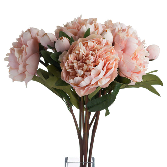 Soft peach peony blooms complemented by green leaves, elegantly arranged for a refined, sophisticated home display.