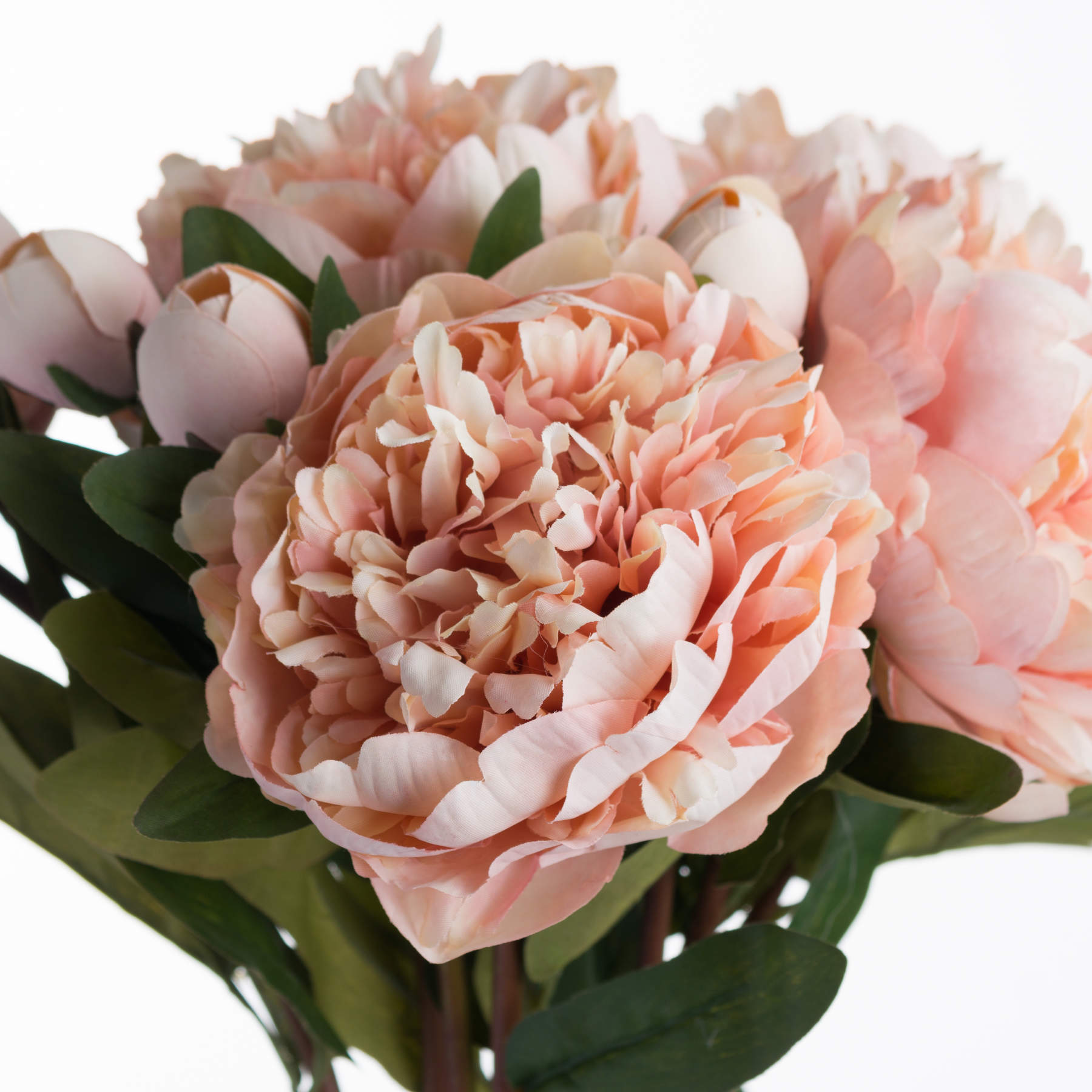Realistic peach peony rose flowers showcase soft, layered petals and rich greenery, exuding timeless elegance for sophisticated decor.