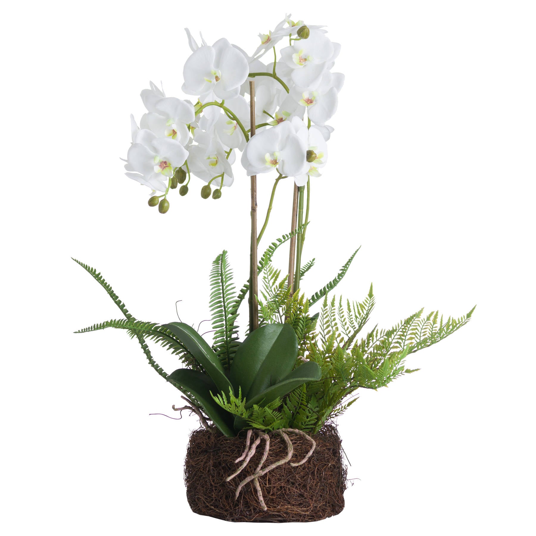 Large White Orchid And Fern Garden In Rootball - All Artificial Flowers from the Quanta Home collection.