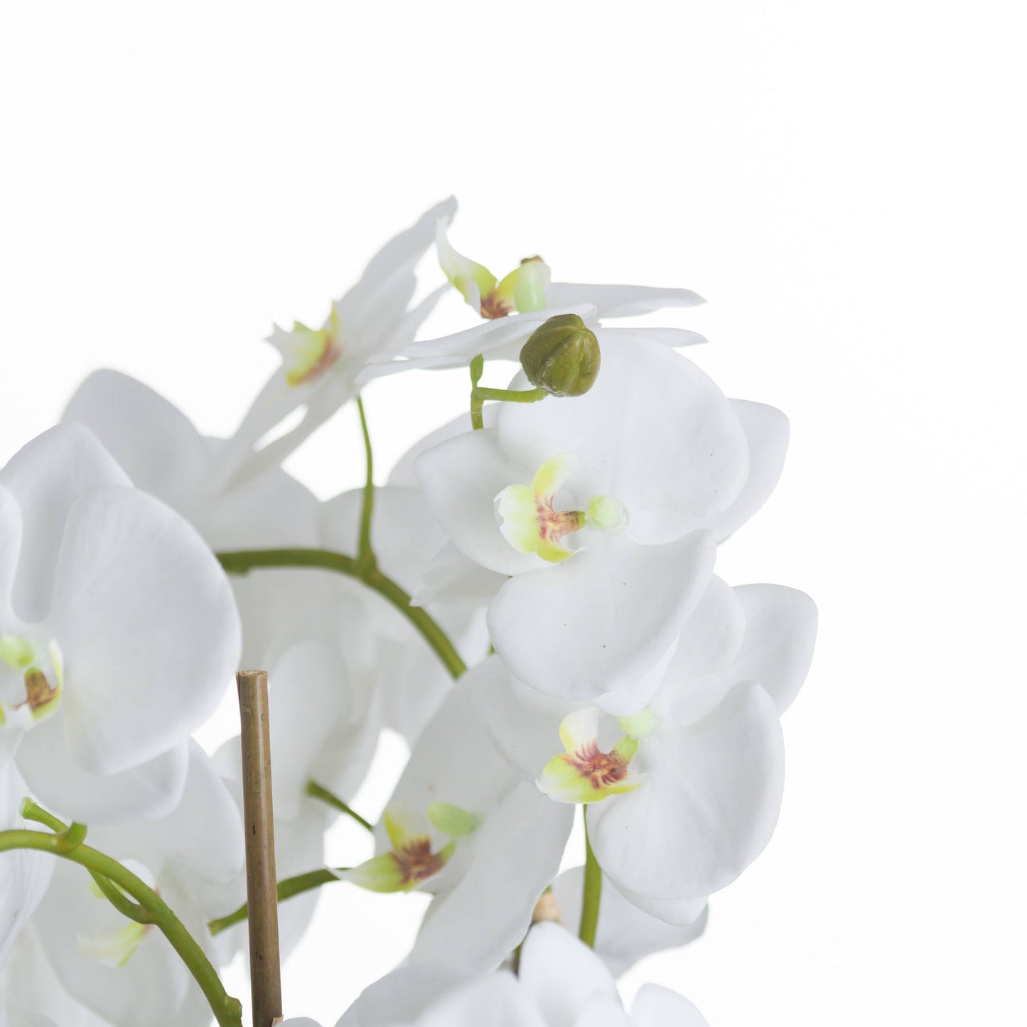Large White Orchid And Fern Garden In Rootball - All Artificial Flowers from the Quanta Home collection.
