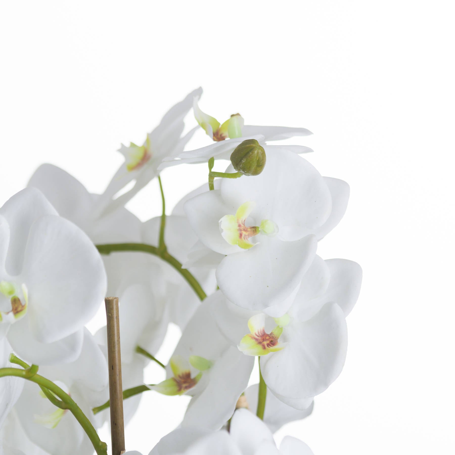 Large White Orchid And Fern Garden In Rootball - All Artificial Flowers from the Quanta Home collection.