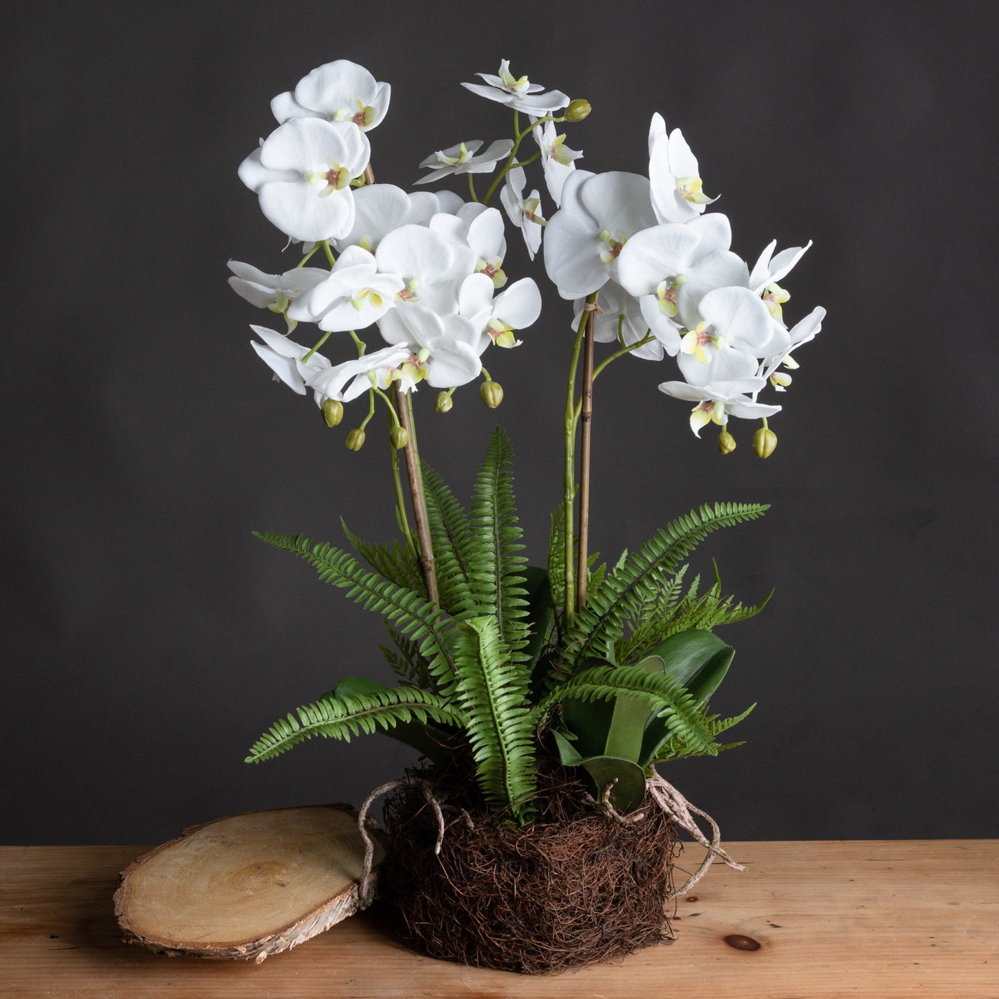 Large White Orchid And Fern Garden In Rootball - All Artificial Flowers from the Quanta Home collection.