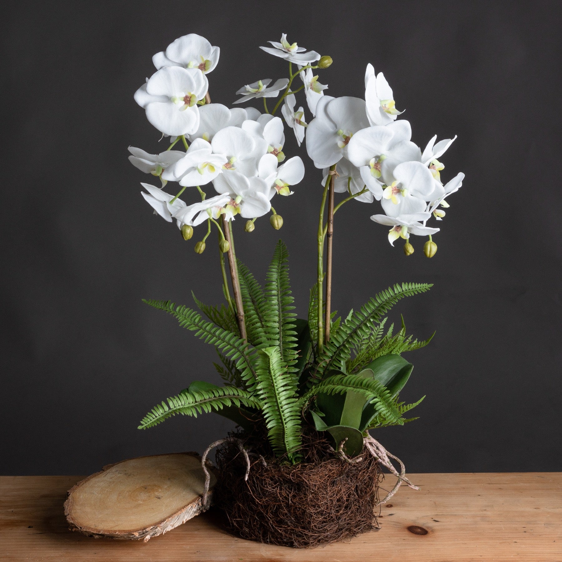 Large White Orchid And Fern Garden In Rootball - All Artificial Flowers from the Quanta Home collection.
